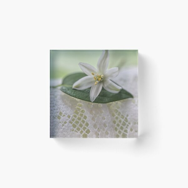 Item preview, graceful designed and sold by Heather Buechel.