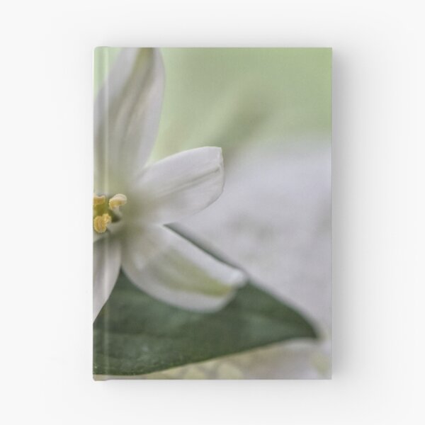 Item preview, graceful designed and sold by Heather Buechel.