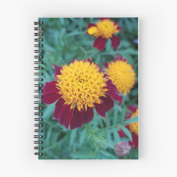 Item preview, Vibrant Macro Flower Photography  designed and sold by RobbieTaylor.
