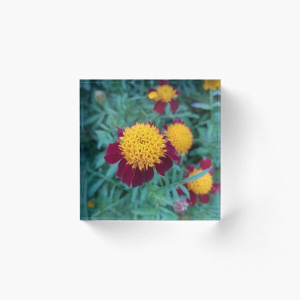 Item preview, Vibrant Macro Flower Photography  designed and sold by RobbieTaylor.