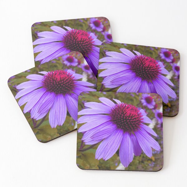 Item preview, Purple Coneflower Perennial designed and sold by hearthearts.