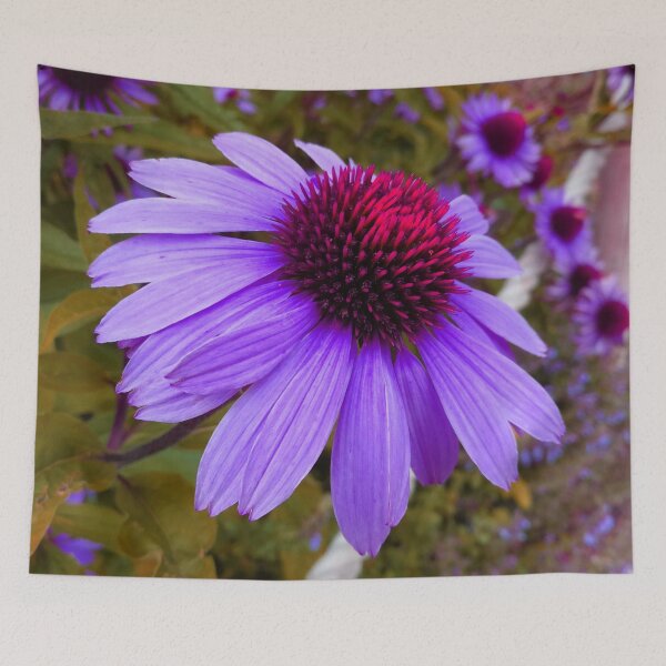 Item preview, Purple Coneflower Perennial designed and sold by hearthearts.