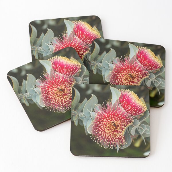 Item preview, Macrocarpa, Western Australian wildflower designed and sold by Life Images by Jill .