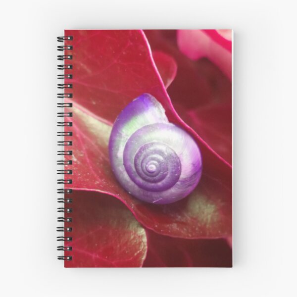 Item preview, Spiral Purple Snail Shell on a Red Leaf designed and sold by hearthearts.