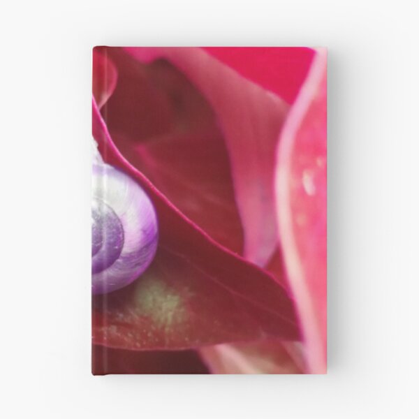 Item preview, Spiral Purple Snail Shell on a Red Leaf designed and sold by hearthearts.