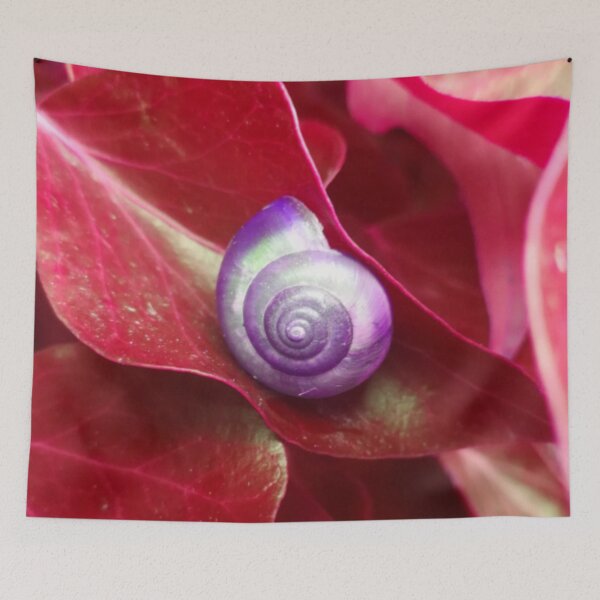 Item preview, Spiral Purple Snail Shell on a Red Leaf designed and sold by hearthearts.