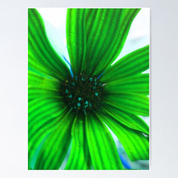 Item preview, Green Daisy Flower designed and sold by hearthearts.
