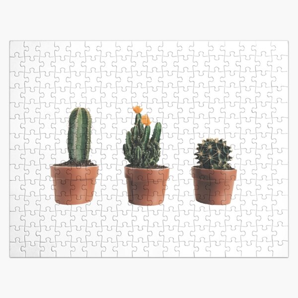 Cacti Set Jigsaw Puzzles Redbubble