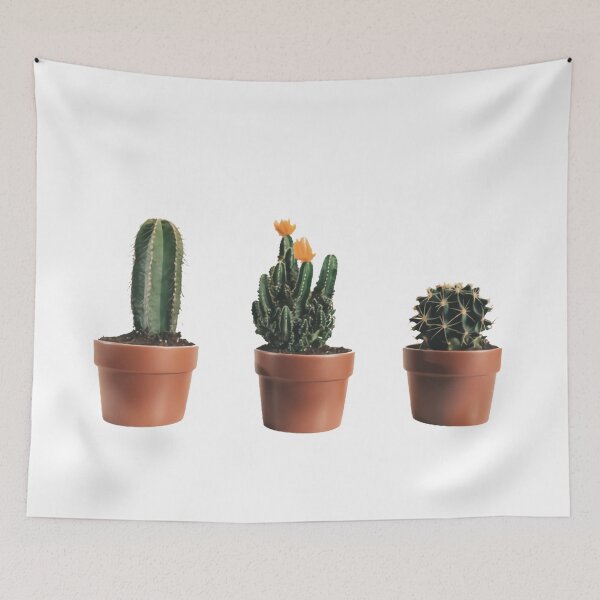 Aperçu de l'œuvre Ensemble de cactus créée et vendue par Vaishnavi Deo.