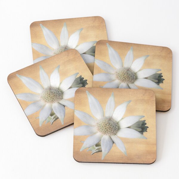 Item preview, Flannel Flower designed and sold by NaturallyArt.