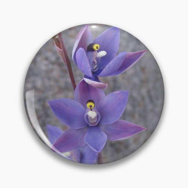 Item preview, Scented Sun Orchid - Western Australia designed and sold by Life Images by Jill .