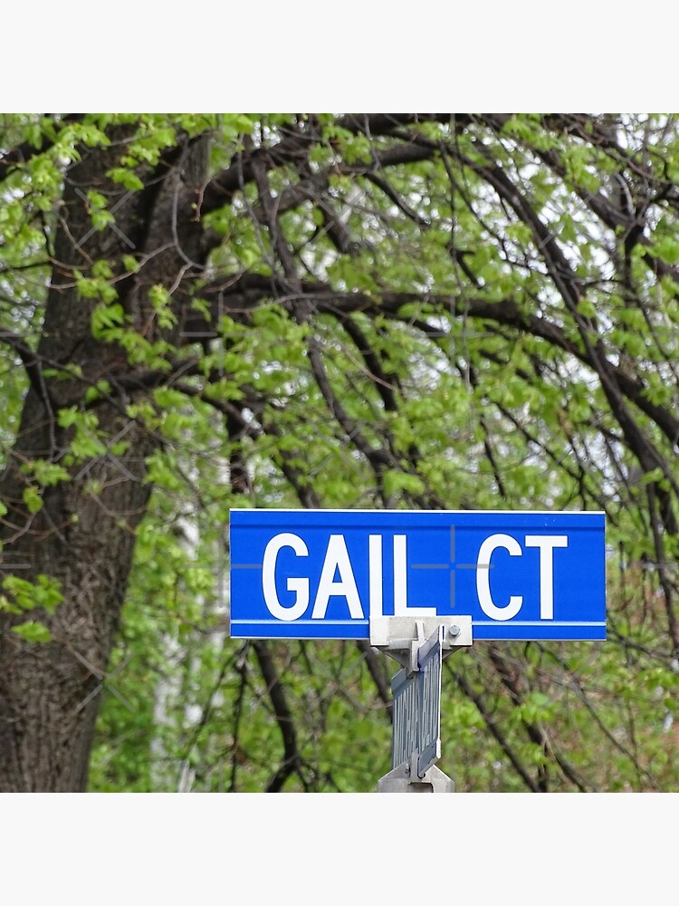 Gail, Gail mug, Gail magnet, Gail sticker, Gail mask by PicsByMi