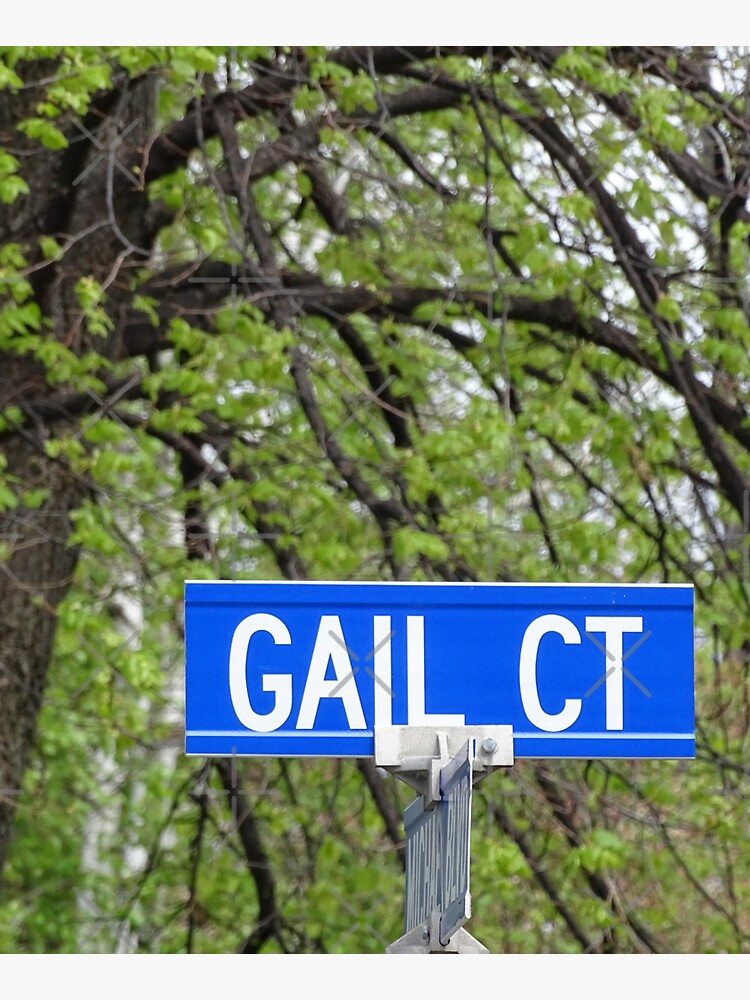 Gail, Gail mug, Gail magnet, Gail sticker, Gail mask by PicsByMi