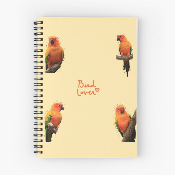 Artikelvorschau, Artsy Sun Conure Aufkleber Set entworfen und verkauft von Mischiefsticker.