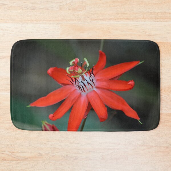 Item preview, passion flower Passiflora miniata designed and sold by Schoensl.