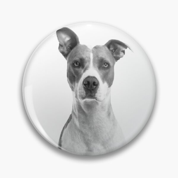 Item preview, Dogs For Everyone Sticker Pack designed and sold by SacredsDesigns.