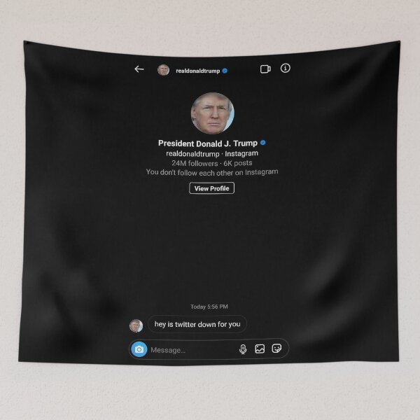 Item preview, Funny Trump DM designed and sold by Natasha Fox.