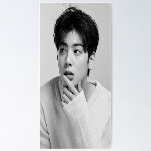 Item preview, Astro Cha Eun-woo designed and sold by KookDesignZ.