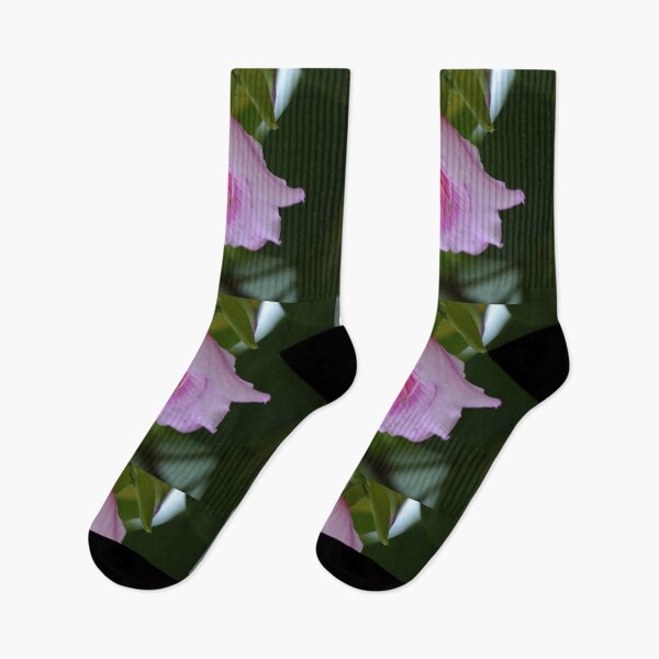 Artikelvorschau, Blume rosa entworfen und verkauft von Schoensl.