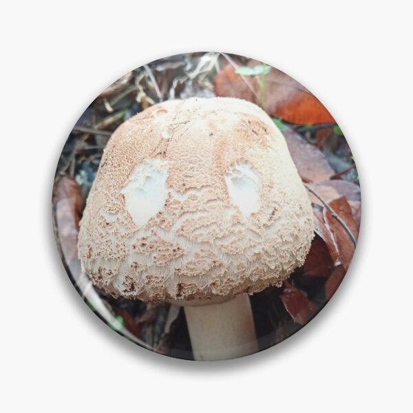 Item preview, Mushroom with eyes designed and sold by igeorgia.