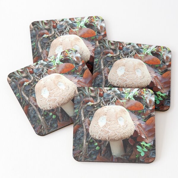 Item preview, Mushroom with eyes designed and sold by igeorgia.
