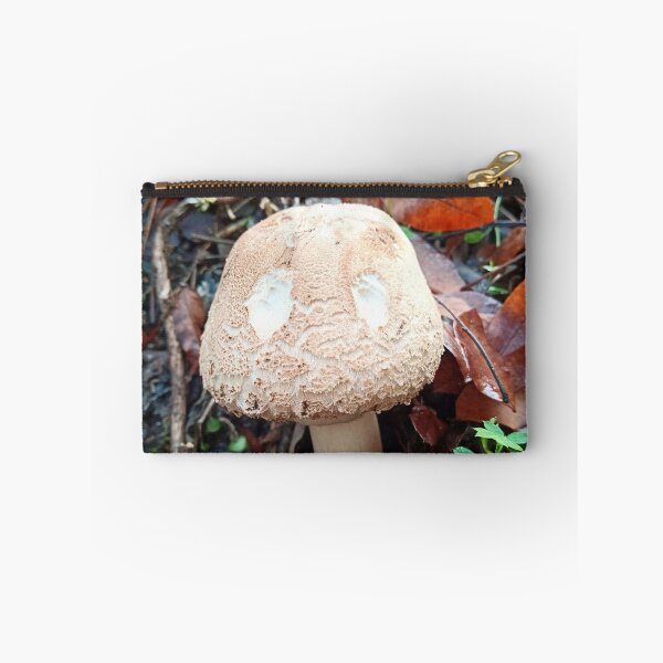 Item preview, Mushroom with eyes designed and sold by igeorgia.