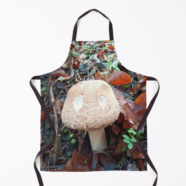 Item preview, Mushroom with eyes designed and sold by igeorgia.