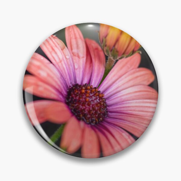 Item preview, Coral Daisies  designed and sold by OBRart.