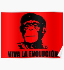 Viva la Evolucion Poster