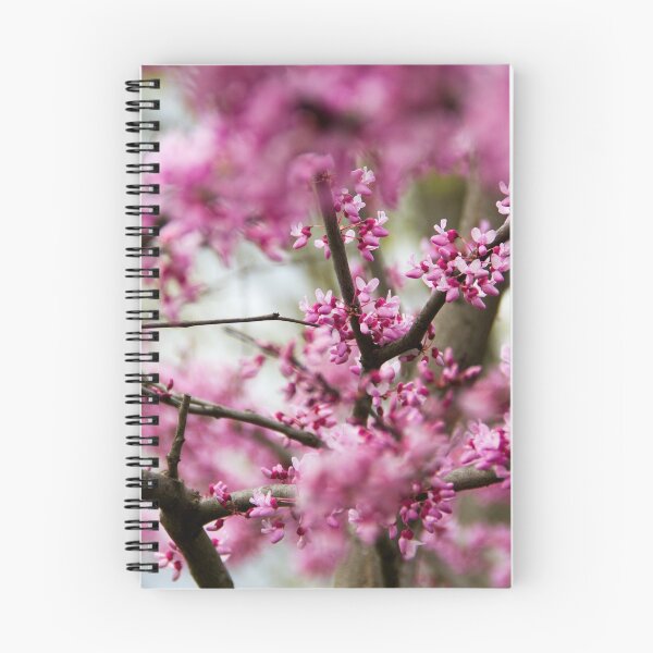 Item preview, Cherry Blossom designed and sold by amyericephoto.