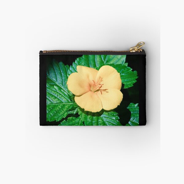Item preview, Yellow Alder on Elbow Cay, Bahamas designed and sold by Robert Kelch, M.D..