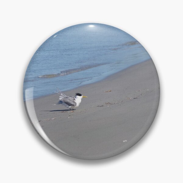 Item preview, One Single Tern On Safety Bay Beach, WA designed and sold by lezvee.