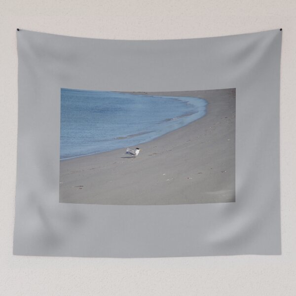 Item preview, One Single Tern On Safety Bay Beach, WA designed and sold by lezvee.