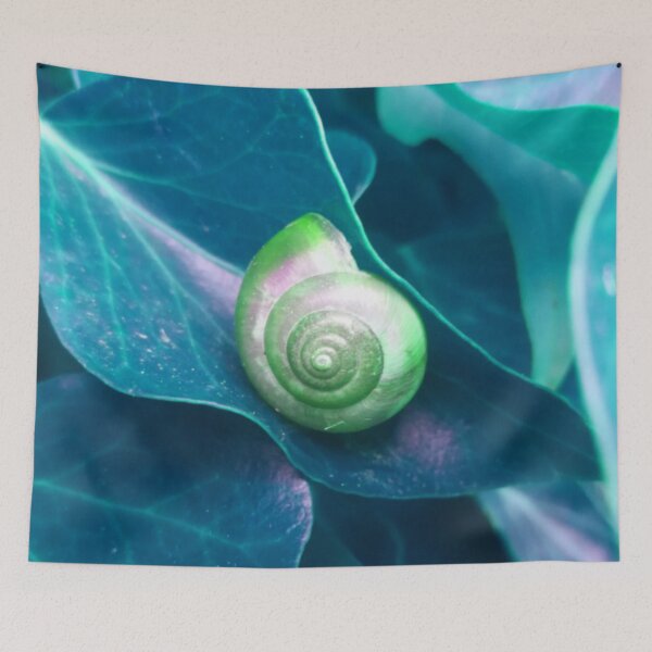 Item preview, Spiral Green Snail Shell on a Teal Green Leaf designed and sold by hearthearts.