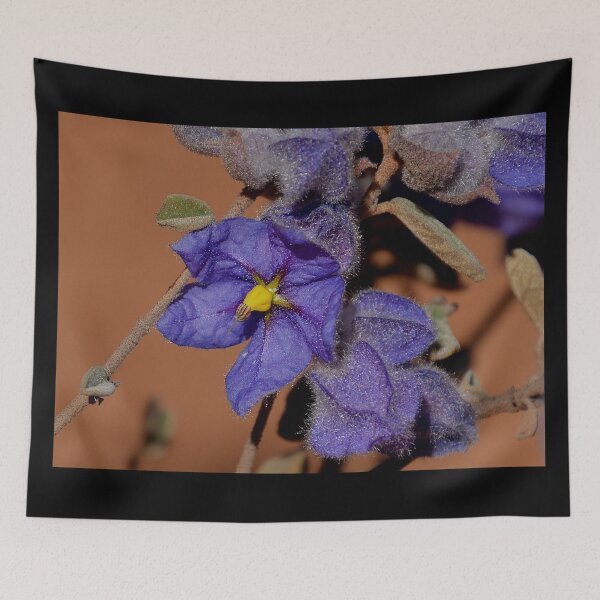 Artikelvorschau, Australien Blume violet entworfen und verkauft von Schoensl.