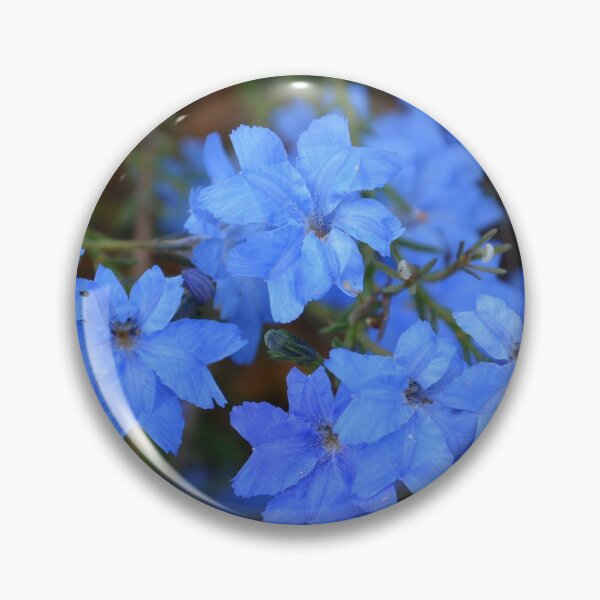 Item preview, Lechenaultia Australia designed and sold by Schoensl.
