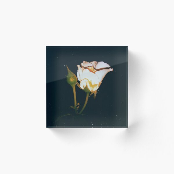 Artikelvorschau, Blume entworfen und verkauft von KuNaL828.