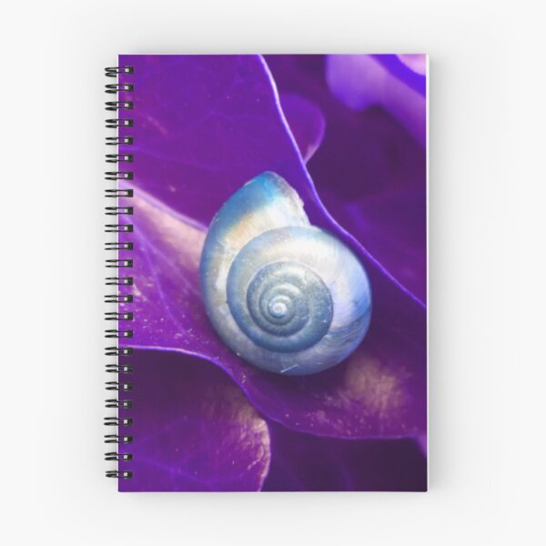 Item preview, Spiral Blue Snail Shell on a Purple Leaf designed and sold by hearthearts.