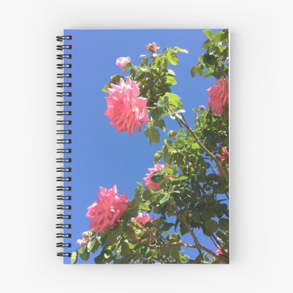 Item preview, Vibrant pink roses designed and sold by Imi B.