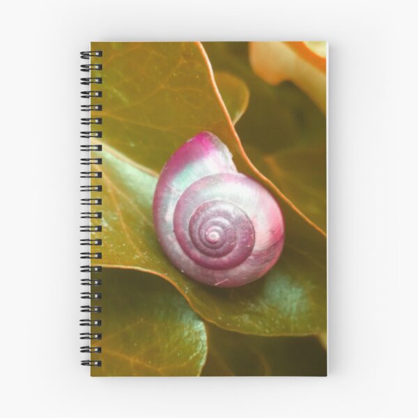 Item preview, Spiral Red Snail Shell on a Golden Leaf designed and sold by hearthearts.
