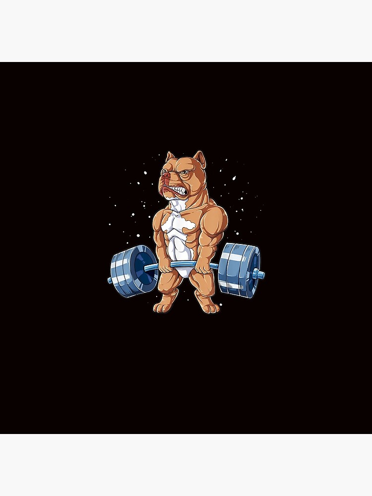 Dachshund Weightlifting Funny Gift For Deadlift Men Fitness Gym Gifts Tank  Top