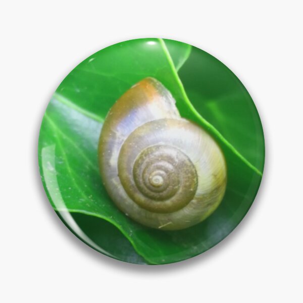 Item preview, Spiral Brown Snail Shell on a Deep Green Leaf designed and sold by hearthearts.