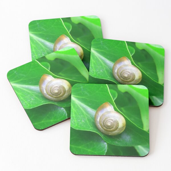 Item preview, Spiral Brown Snail Shell on a Deep Green Leaf designed and sold by hearthearts.