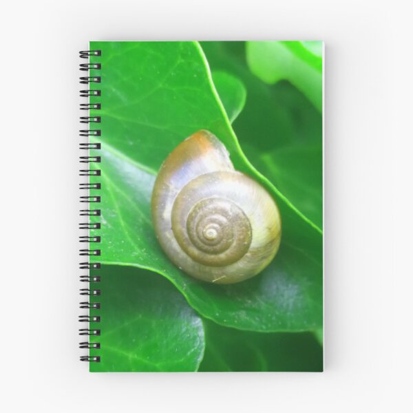 Item preview, Spiral Brown Snail Shell on a Deep Green Leaf designed and sold by hearthearts.