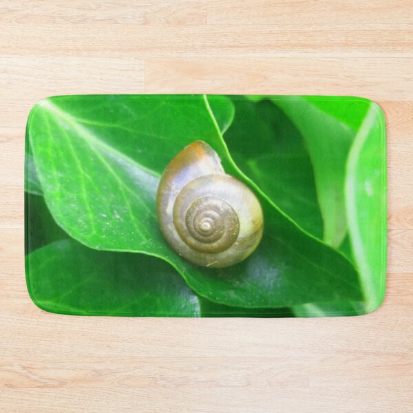 Item preview, Spiral Brown Snail Shell on a Deep Green Leaf designed and sold by hearthearts.