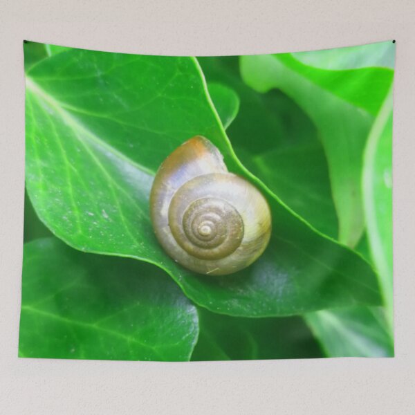 Item preview, Spiral Brown Snail Shell on a Deep Green Leaf designed and sold by hearthearts.