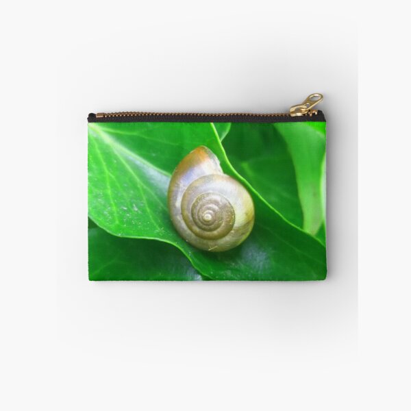 Item preview, Spiral Brown Snail Shell on a Deep Green Leaf designed and sold by hearthearts.