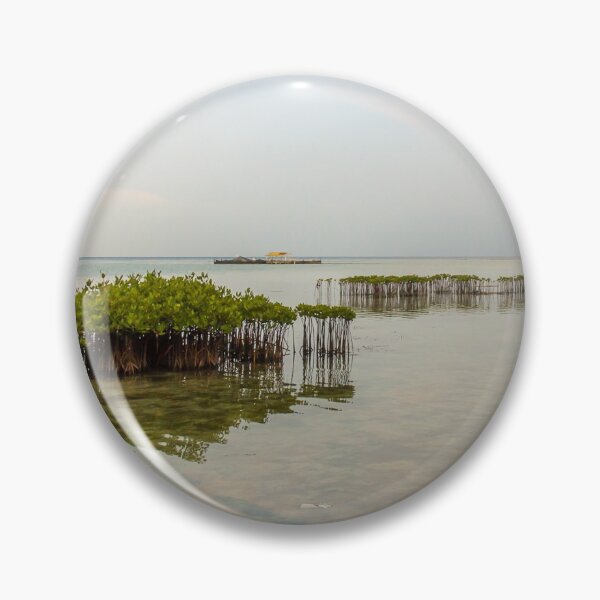 Item preview, Mangrove Plantations on Pramuka Island, Thousand Islands, Indonesia designed and sold by SnapTPhotograph.