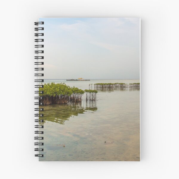 Item preview, Mangrove Plantations on Pramuka Island, Thousand Islands, Indonesia designed and sold by SnapTPhotograph.