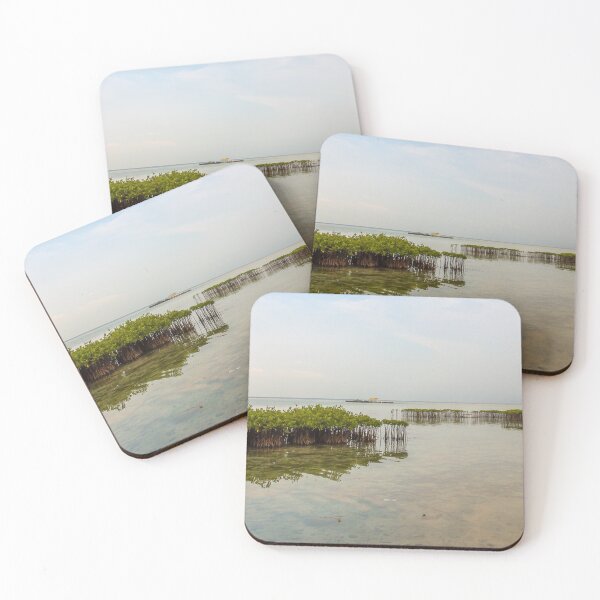 Item preview, Mangrove Plantations on Pramuka Island, Thousand Islands, Indonesia designed and sold by SnapTPhotograph.